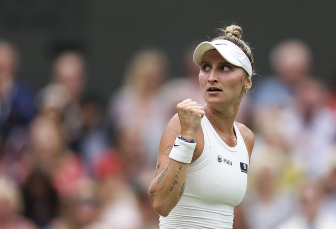 替其重要角 替其重要角